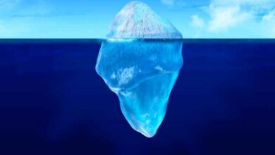 Hayatta Kalana Bağlılık