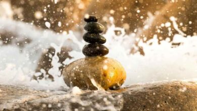 Faydasız Bilginin Gerekliliği