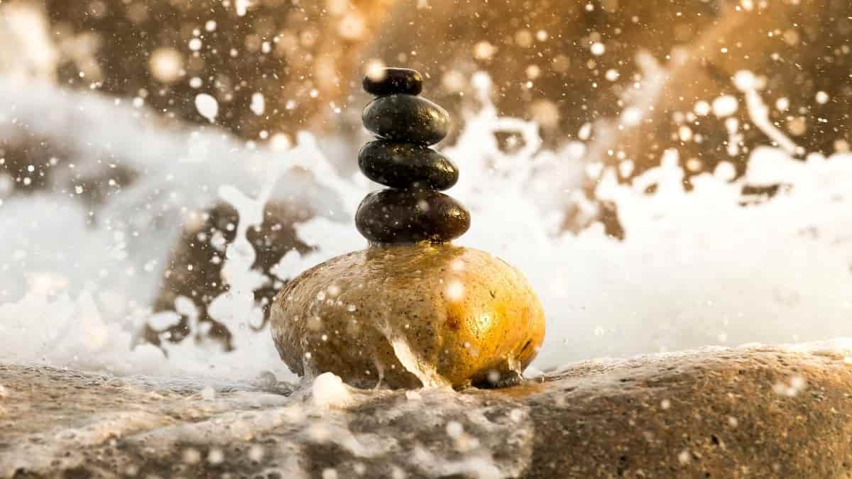 Faydasız Bilginin Gerekliliği