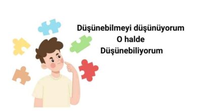 Metabilişsel Düşünme